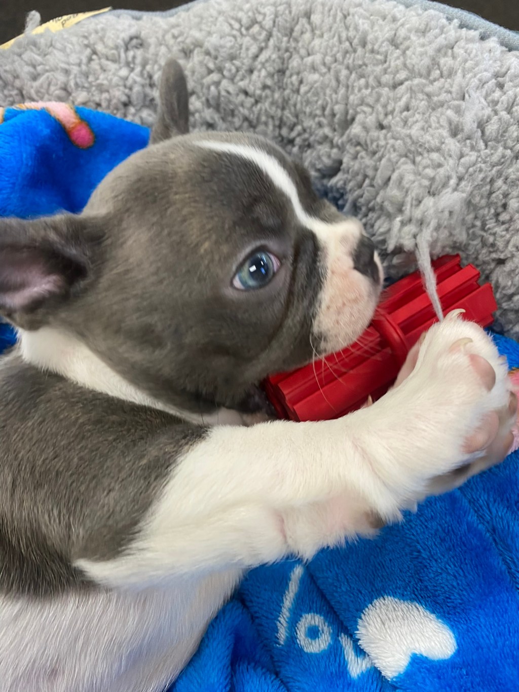 A Trip Down Memory Lane