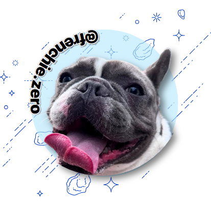 frenchiezero