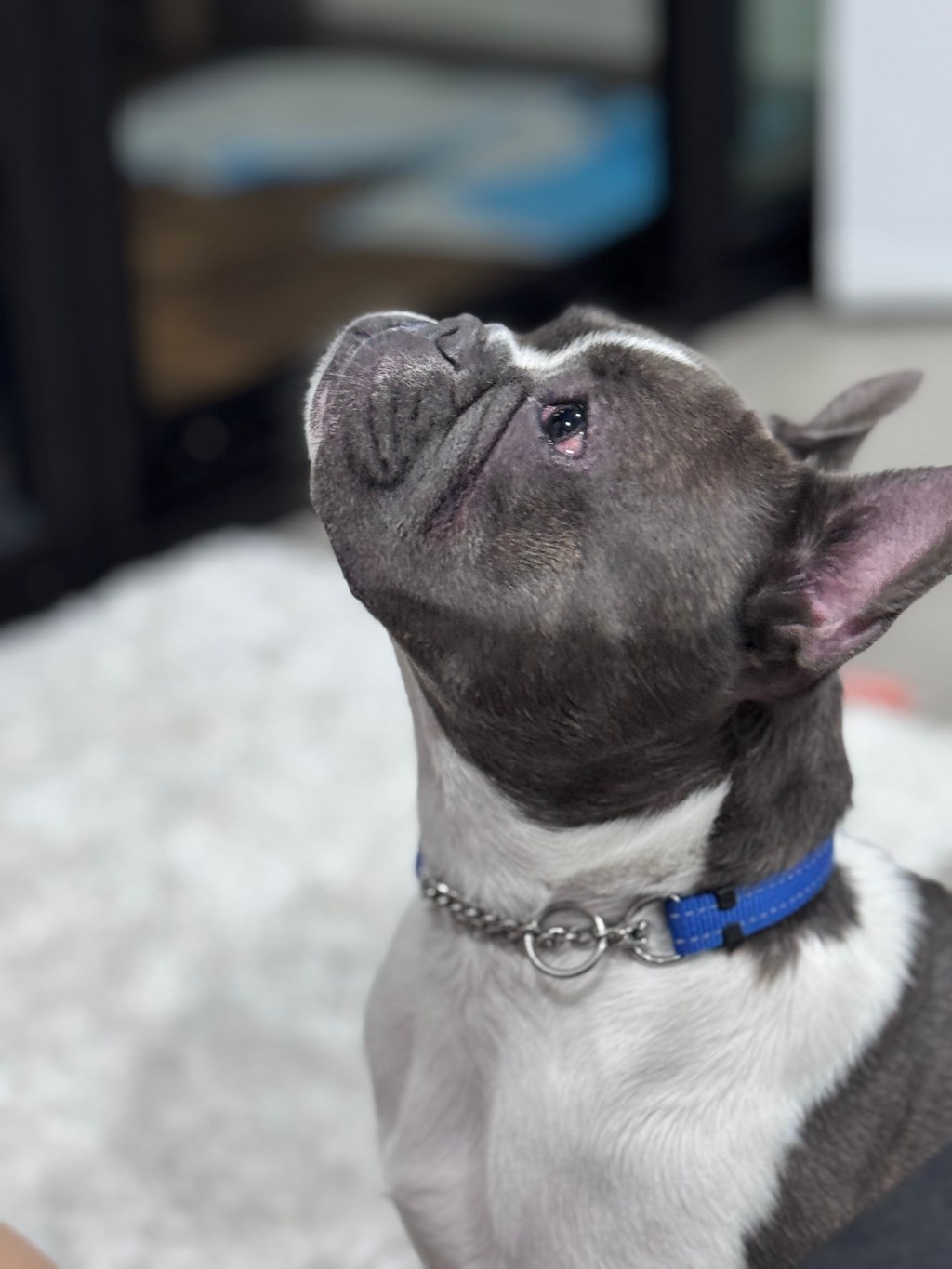 Zero - What’s one small improvement you can make in your life?