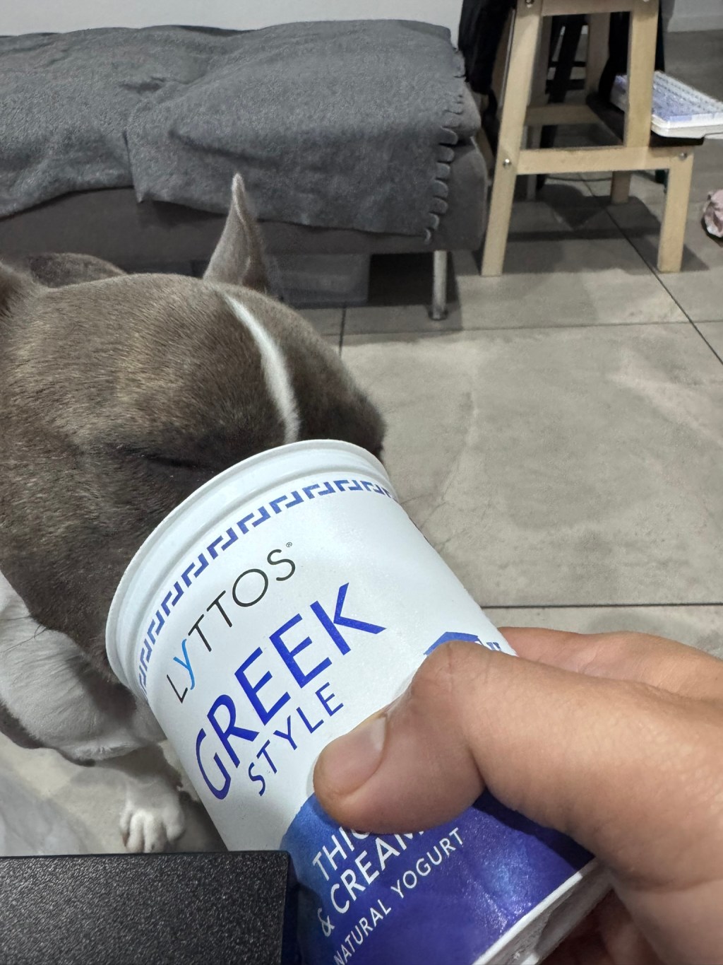 zero having a yogurt